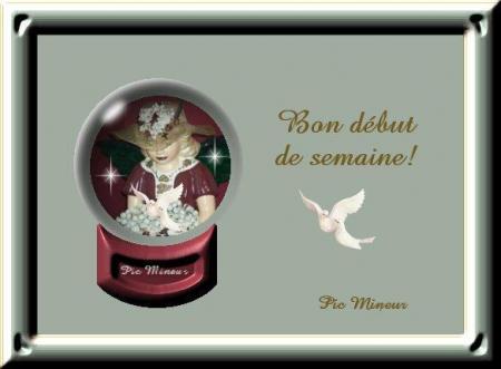 Bonjour tout le monde